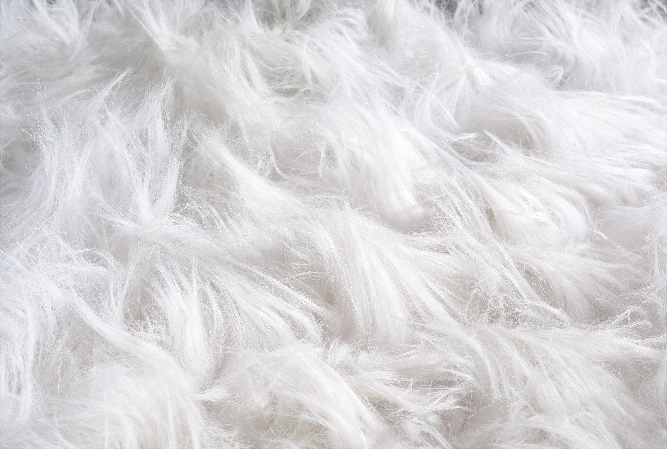 fur